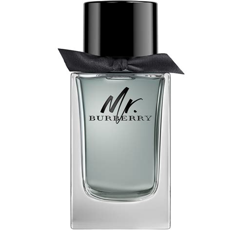 burberry mr. burberry edt 150ml